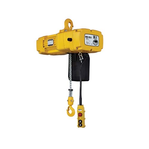 Hoist with Motorized NTD Trolley